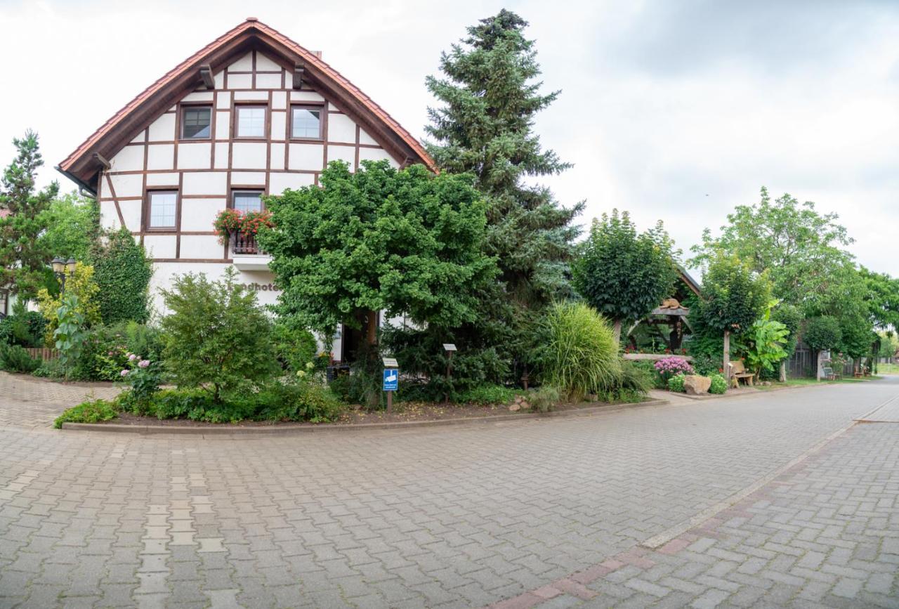 Landhotel Biberburg Bad Liebenwerda Extérieur photo